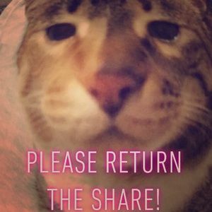 PLEASE RETURN THE SHARES!